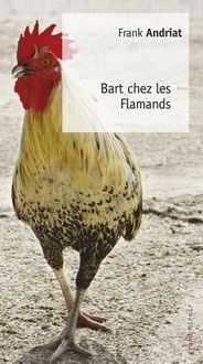 Produktbild: Bart chez les Flamands