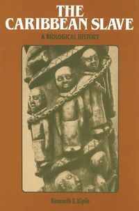 Produktbild: The Caribbean Slave