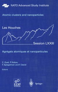 Produktbild: Atomic clusters and nanoparticles. Agregats atomiques et nanoparticules
