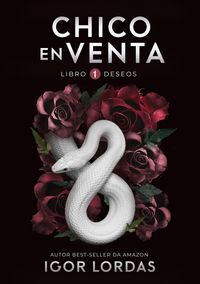Produktbild: Chico en Venta - Libro 1 (Deseos)