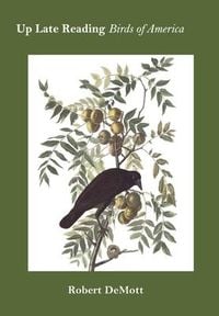 Produktbild: Up Late Reading Birds of America