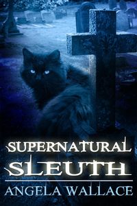 Produktbild: Supernatural Sleuth, Case File #1