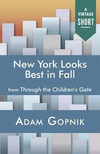 Produktbild: New York Looks Best in Fall