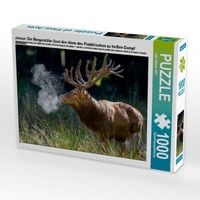 Produktbild: CALVENDO Puzzle Januar: Die Morgenk&auml;lte l&auml;sst den Atem des Platzhirschen zu hei&szlig;en Dampf werden. | 1000 Teile Lege-Gr&ouml;&szlig;e 64x48cm Foto-Puzzle f&uuml;r gl&uuml;ckliche Stunden