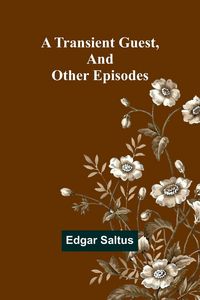 Produktbild: A Transient Guest, And Other Episodes