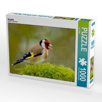 Produktbild: CALVENDO Puzzle Stieglitz | 1000 Teile Lege-Gr&ouml;&szlig;e 64x48cm Foto-Puzzle f&uuml;r gl&uuml;ckliche Stunden