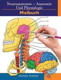 Produktbild: Neuroanatomie + Anatomie und Physiologie Malbuch