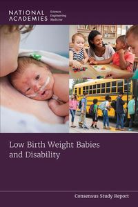 Produktbild: Low Birth Weight Babies and Disability