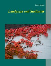 Produktbild: Landpizza und Stadtsalat