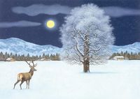 Bild vom Artikel Zauberhafte Winternacht Adventskalender vom Autor Thomas Müller
