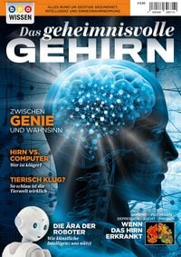 Produktbild: Das geheimnisvolle GEHIRN