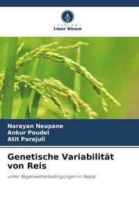 Bild vom Artikel Genetische Variabilität von Reis vom Autor Narayan Neupane