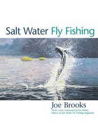 Produktbild: Salt Water Fly Fishing