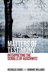 Produktbild: Matters of Testimony