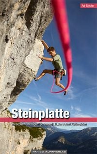 Produktbild: Kletterf&uuml;hrer Steinplatte