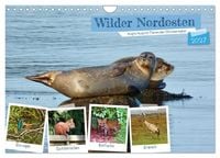 Produktbild: Wilder Nordosten - Aug in Aug mit Tieren der Ostseeregion (Wandkalender 2027 DIN A4 quer), CALVENDO Monatskalender