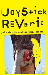 Produktbild: Joystick Reverie