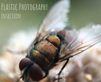Produktbild: Plastic Photography
