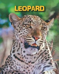 Produktbild: Leopards