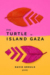 Produktbild: From Turtle Island to Gaza