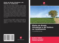 Produktbild: Efeito do Brady rhizobium e do f&oacute;sforo no rendimento