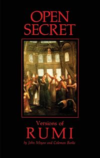 Produktbild: Open Secret