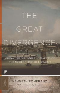 Produktbild: Great Divergence