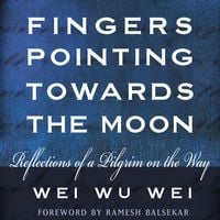 Produktbild: Fingers Pointing Towards the Moon