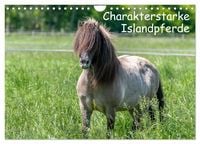 Produktbild: Charakterstarke Islandpferde (Wandkalender 2026 DIN A4 quer), CALVENDO Monatskalender
