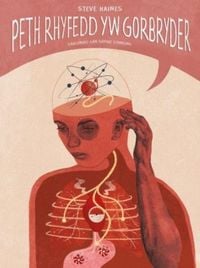Produktbild: Darllen yn Well: Peth Rhyfedd yw Gorbryder