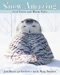 Produktbild: Snow Amazing