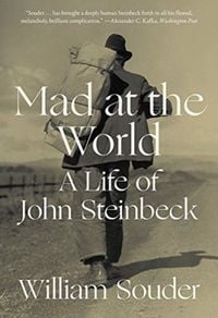 Produktbild: Mad at the World