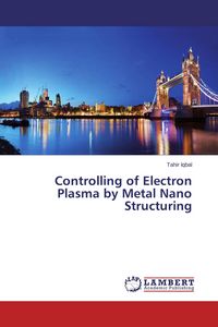 Produktbild: Controlling of Electron Plasma by Metal Nano Structuring