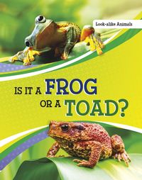 Produktbild: Is It a Frog or a Toad?