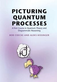 Produktbild: Picturing Quantum Processes