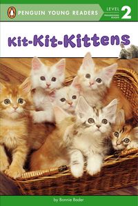 Produktbild: Kit-Kit-Kittens
