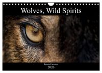 Produktbild: Wolves, Wild Spirits (Wall Calendar 2026 DIN A4 landscape), CALVENDO 12 Month Wall Calendar