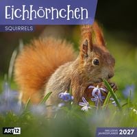 Produktbild: Eichh&ouml;rnchen Kalender 2027 - 30x30 - Art12