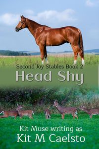Produktbild: Head Shy (Second Joy, #2)