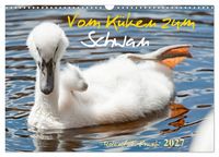 Produktbild: Vom K&uuml;ken zum Schwan (Wandkalender 2027 DIN A3 quer), CALVENDO Monatskalender