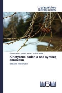 Produktbild: Kinetyczne badania nad syntez&iquest; amoniaku