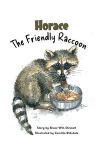 Produktbild: Horace the Friendly Raccoon