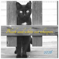 Produktbild: Black and white cat whispers (Wall Calendar 2026 12 &times; 12 Inch) CALVENDO 12 Month Wall Calendar