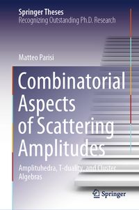 Produktbild: Combinatorial Aspects of Scattering Amplitudes