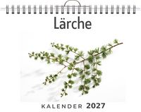 Produktbild: L&auml;rche