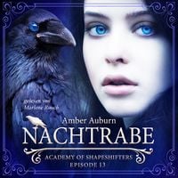 Bild vom Artikel Nachtrabe, Episode 13 - Fantasy-Serie vom Autor Amber Auburn