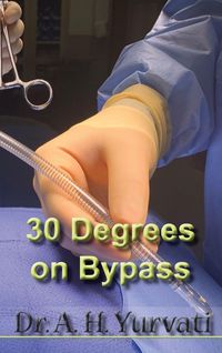 Produktbild: 30 Degrees on Bypass