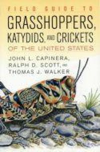 Produktbild: Field Guide to Grasshoppers, Katydids, and Crickets of the United States