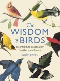 Bild vom Artikel The Wisdom of Birds vom Autor Alison Davies