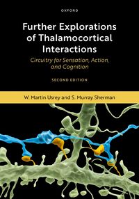 Produktbild: Further Explorations of Thalamocortical Interactions